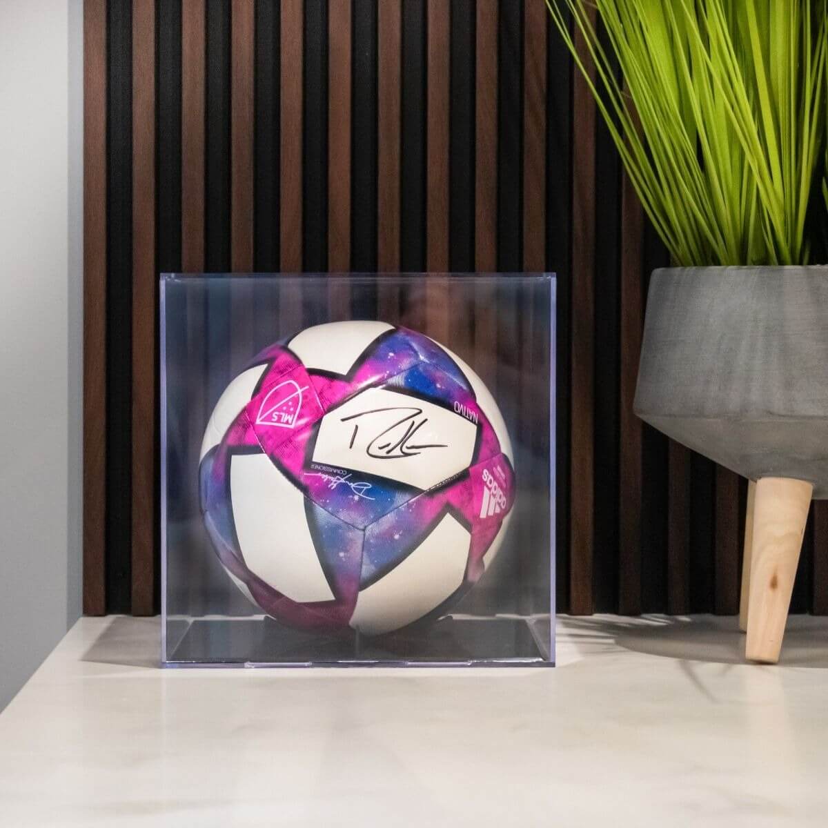 BCW Basketball Showcase - Black Stand - UV