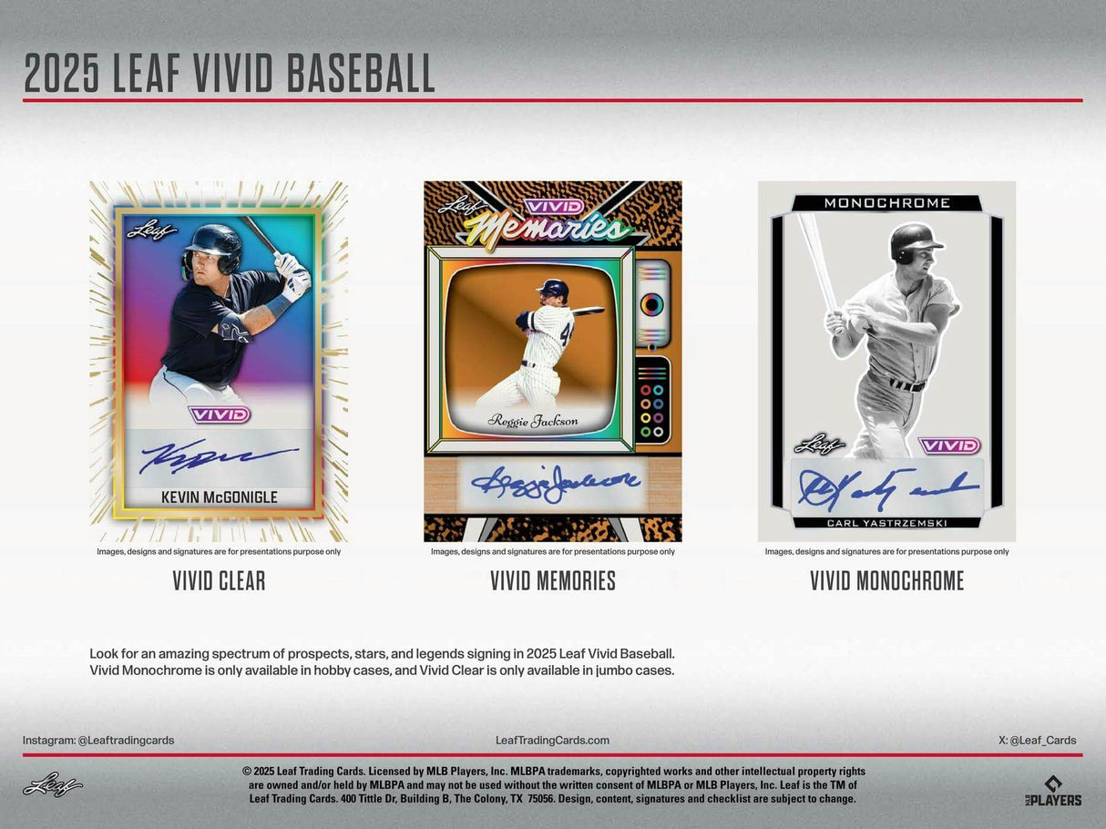 2025 Leaf Vivid Baseball Hobby Box