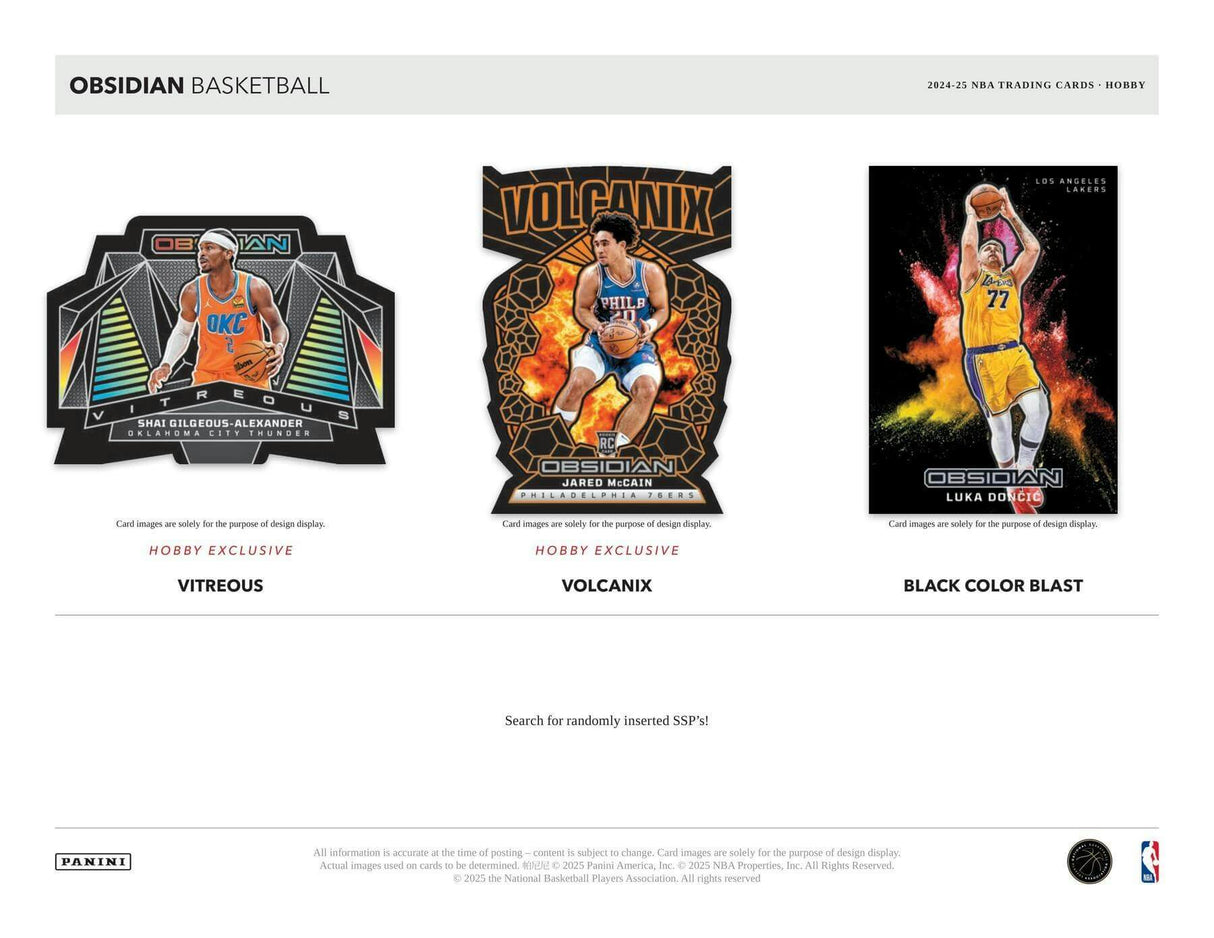 2024/25 Panini Obsidian Basketball Hobby Box